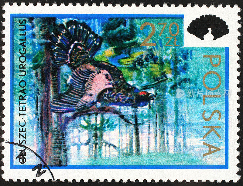 Capercaillie - polish邮票
